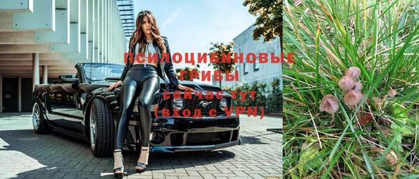 соль ск Абаза