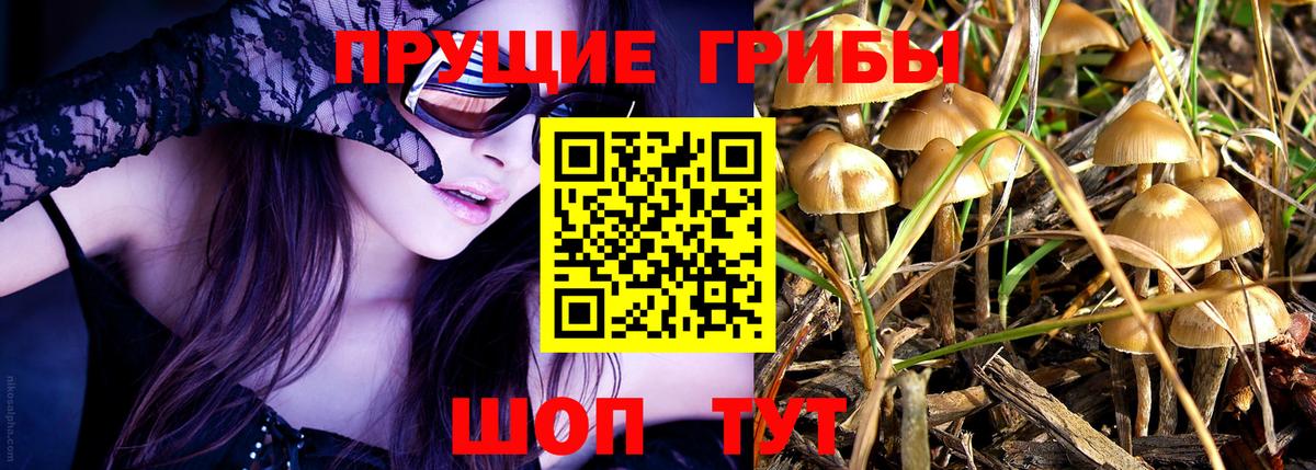 Галлюциногенные грибы Cubensis  Вход с VPN  Азнакаево  Галлюциногенные грибы Psilocybine cubensis 