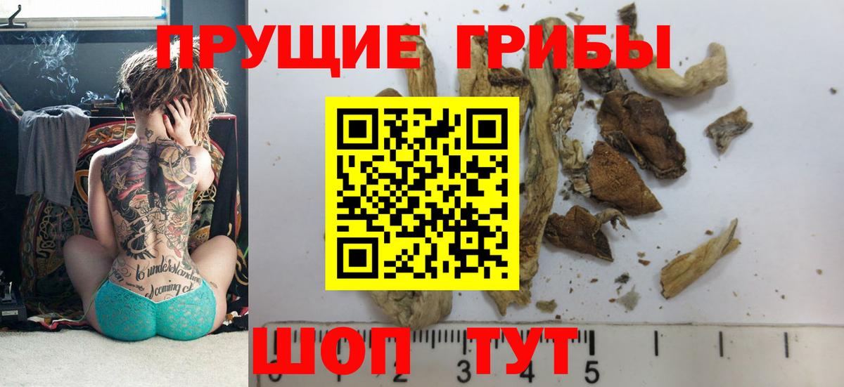 Галлюциногенные грибы Cubensis Азнакаево